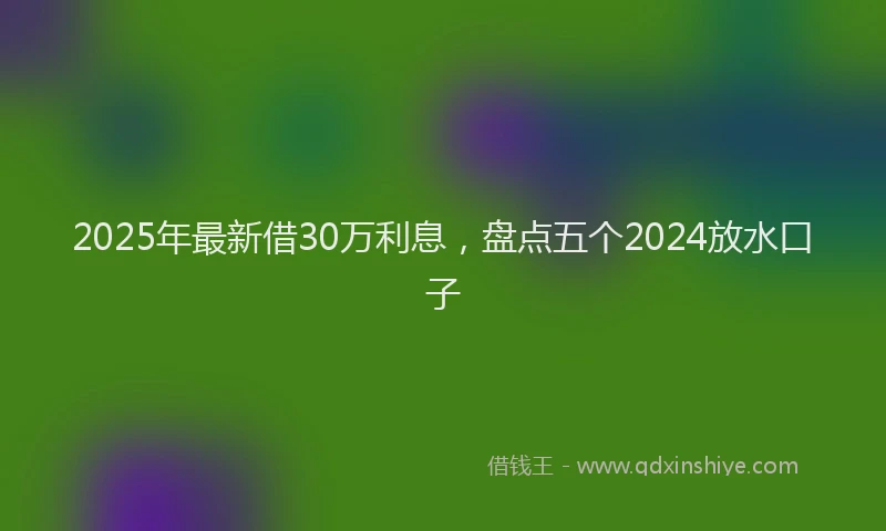 2025年最新借30万利息，盘点五个2024放水口子