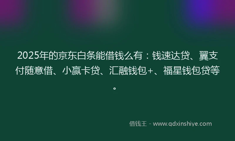 2025年的京东白条能借钱么有：钱速达贷、翼支付随意借、小赢卡贷、汇融钱包+、福星钱包贷等。