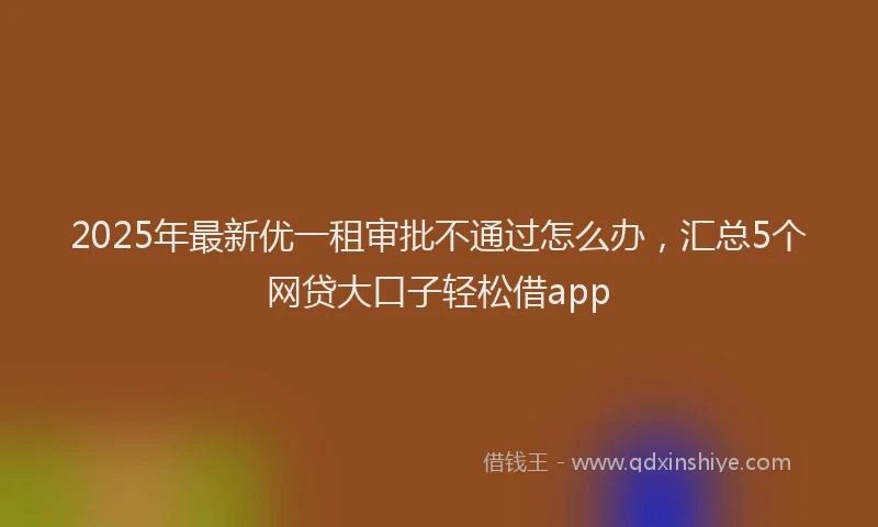 2025年最新优一租审批不通过怎么办，汇总5个网贷大口子轻松借app