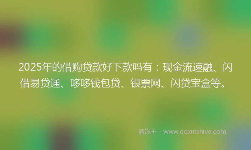 2025年的借购贷款好下款吗有：现金流速融、闪借易贷通、哆哆钱包贷、银票网、闪贷宝盒等。