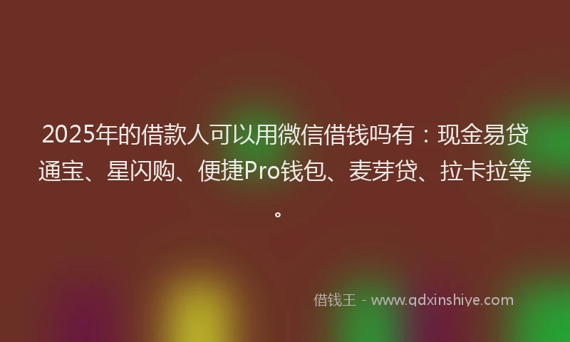 2025年的借款人可以用微信借钱吗有：现金易贷通宝、星闪购、便捷Pro钱包、麦芽贷、拉卡拉等。