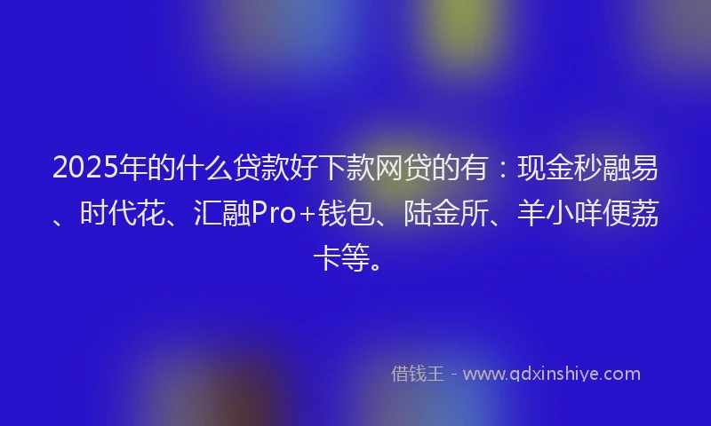 2025年的什么贷款好下款网贷的有：现金秒融易、时代花、汇融Pro+钱包、陆金所、羊小咩便荔卡等。
