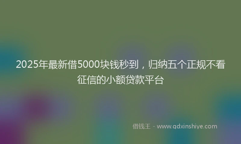 2025年最新借5000块钱秒到，归纳五个正规不看征信的小额贷款平台