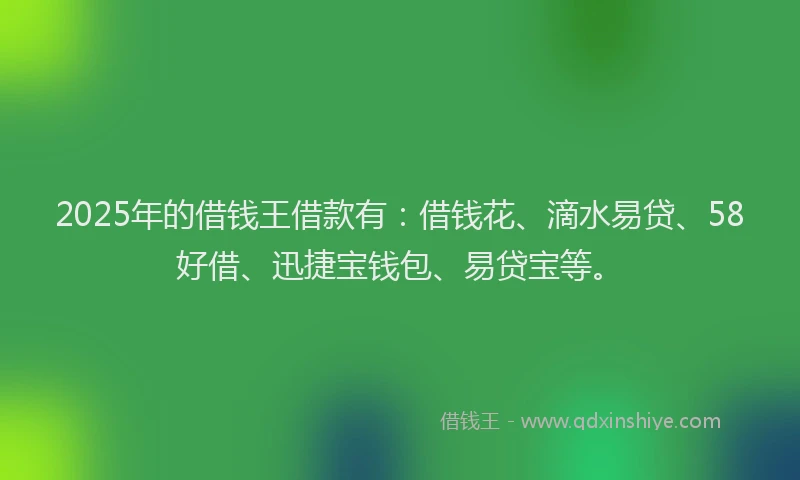 2025年的借钱王借款有：借钱花、滴水易贷、58好借、迅捷宝钱包、易贷宝等。
