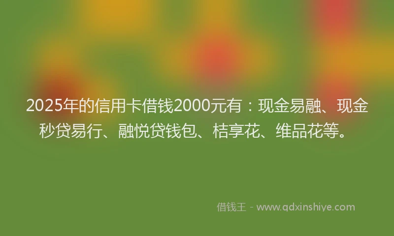 2025年的信用卡借钱2000元有：现金易融、现金秒贷易行、融悦贷钱包、桔享花、维品花等。