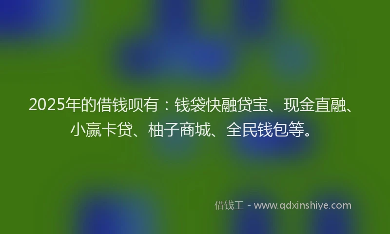 2025年的借钱呗有：钱袋快融贷宝、现金直融、小赢卡贷、柚子商城、全民钱包等。