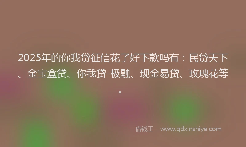 2025年的你我贷征信花了好下款吗有：民贷天下、金宝盒贷、你我贷-极融、现金易贷、玫瑰花等。
