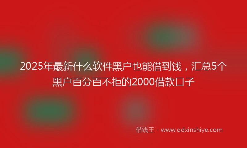 2025年最新什么软件黑户也能借到钱，汇总5个黑户百分百不拒的2000借款口子