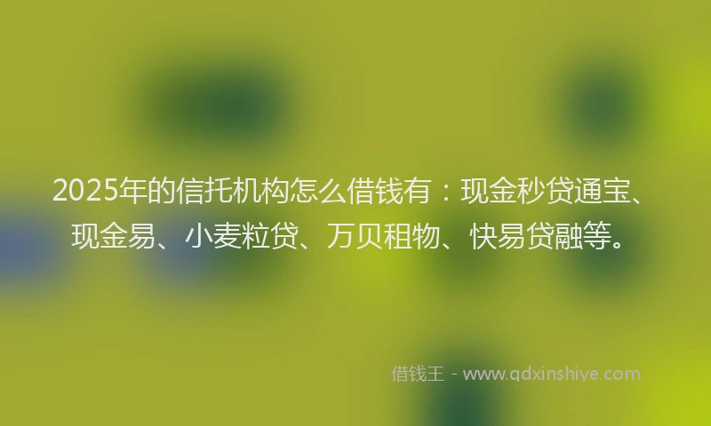 2025年的信托机构怎么借钱有：现金秒贷通宝、现金易、小麦粒贷、万贝租物、快易贷融等。