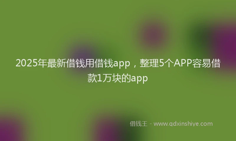 2025年最新借钱用借钱app，整理5个APP容易借款1万块的app