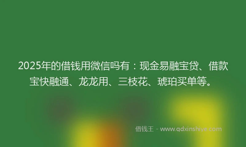 2025年的借钱用微信吗有：现金易融宝贷、借款宝快融通、龙龙用、三枝花、琥珀买单等。