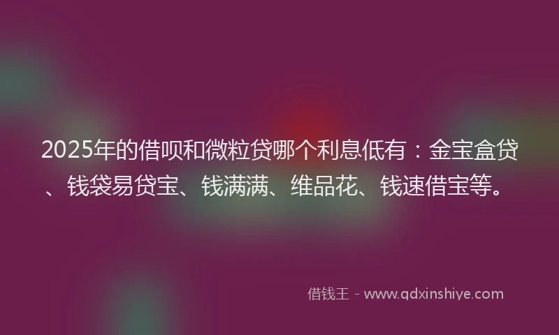 2025年的借呗和微粒贷哪个利息低有：金宝盒贷、钱袋易贷宝、钱满满、维品花、钱速借宝等。