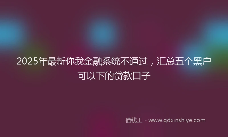 2025年最新你我金融系统不通过，汇总五个黑户可以下的贷款口子