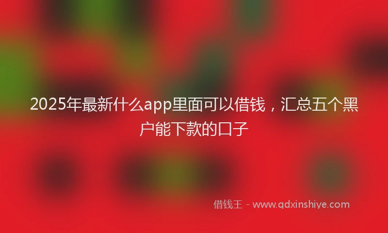 2025年最新什么app里面可以借钱，汇总五个黑户能下款的口子
