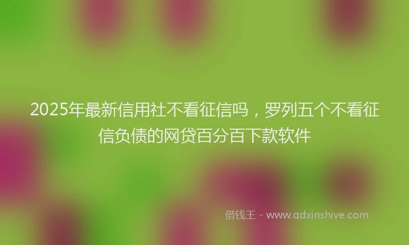 2025年最新信用社不看征信吗，罗列五个不看征信负债的网贷百分百下款软件