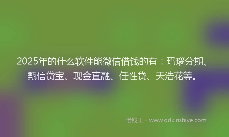 2025年的什么软件能微信借钱的有：玛瑙分期、甄信贷宝、现金直融、任性贷、天浩花等。
