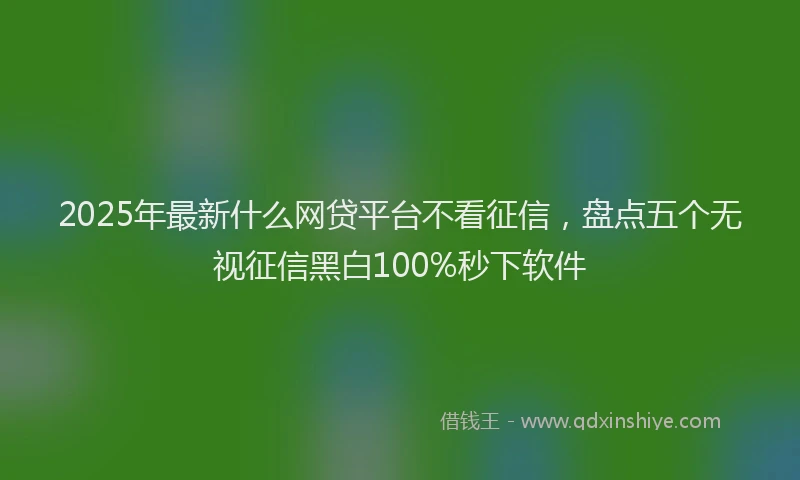 2025年最新什么网贷平台不看征信，盘点五个无视征信黑白100%秒下软件