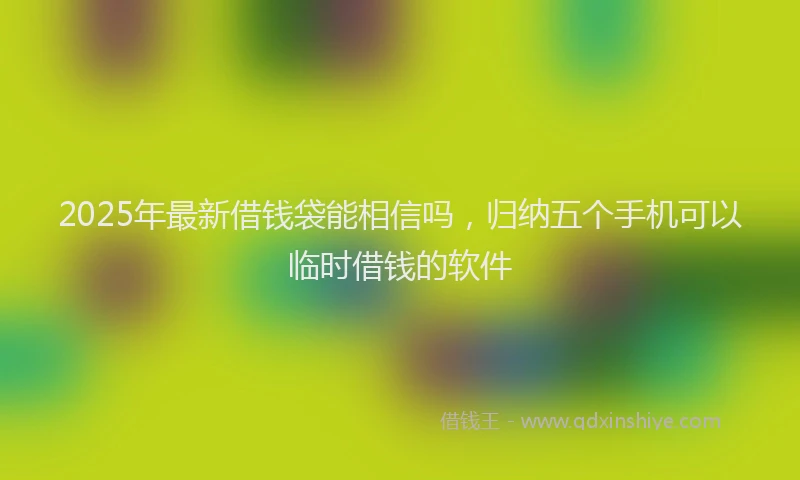 2025年最新借钱袋能相信吗，归纳五个手机可以临时借钱的软件