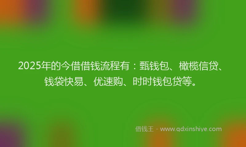 2025年的今借借钱流程有：甄钱包、橄榄信贷、钱袋快易、优速购、时时钱包贷等。
