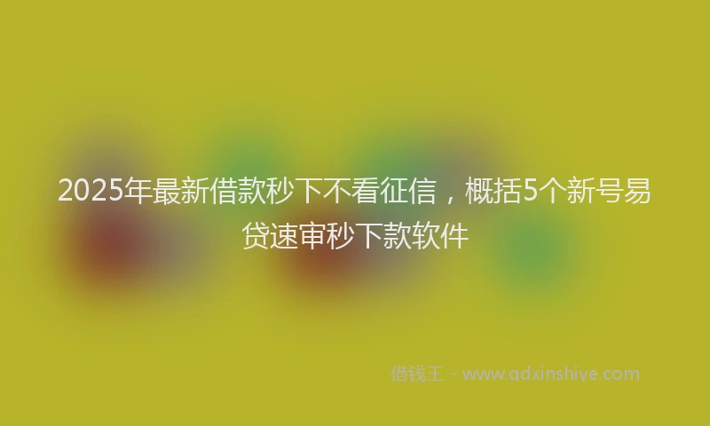 2025年最新借款秒下不看征信，概括5个新号易贷速审秒下款软件