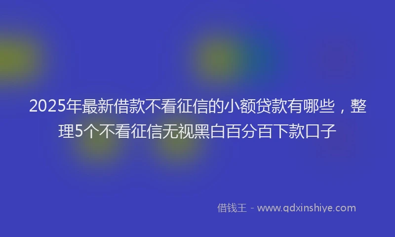 2025年最新借款不看征信的小额贷款有哪些，整理5个不看征信无视黑白百分百下款口子