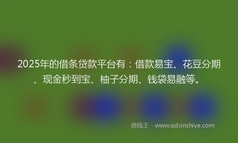 2025年的借条贷款平台有：借款易宝、花豆分期、现金秒到宝、柚子分期、钱袋易融等。