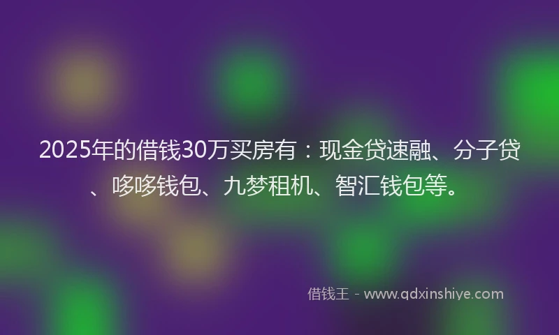 2025年的借钱30万买房有：现金贷速融、分子贷、哆哆钱包、九梦租机、智汇钱包等。