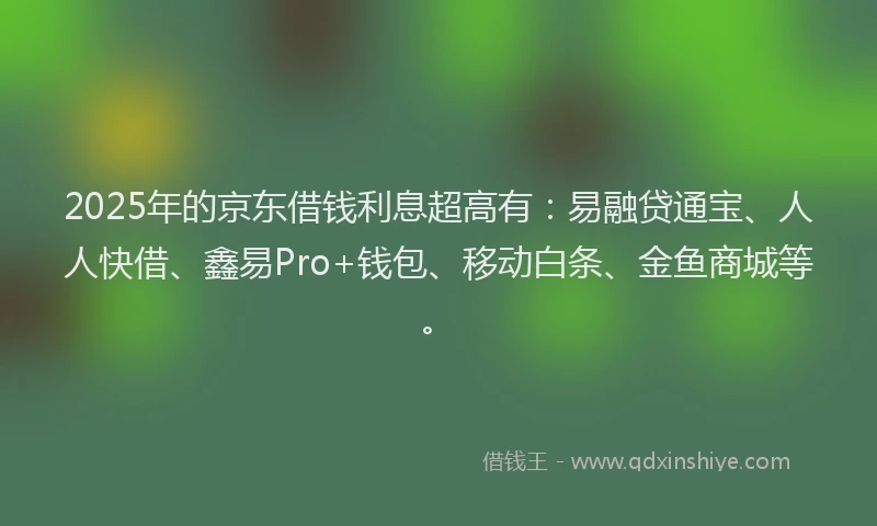 2025年的京东借钱利息超高有：易融贷通宝、人人快借、鑫易Pro+钱包、移动白条、金鱼商城等。