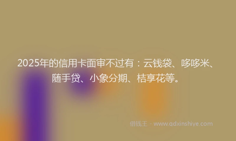 2025年的信用卡面审不过有：云钱袋、哆哆米、随手贷、小象分期、桔享花等。