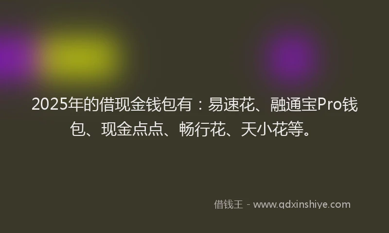 2025年的借现金钱包有：易速花、融通宝Pro钱包、现金点点、畅行花、天小花等。