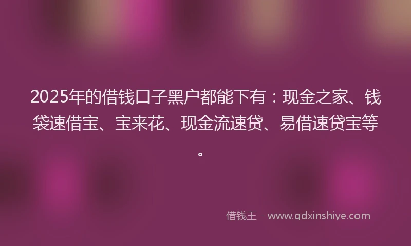 2025年的借钱口子黑户都能下有：现金之家、钱袋速借宝、宝来花、现金流速贷、易借速贷宝等。