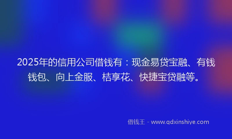 2025年的信用公司借钱有：现金易贷宝融、有钱钱包、向上金服、桔享花、快捷宝贷融等。