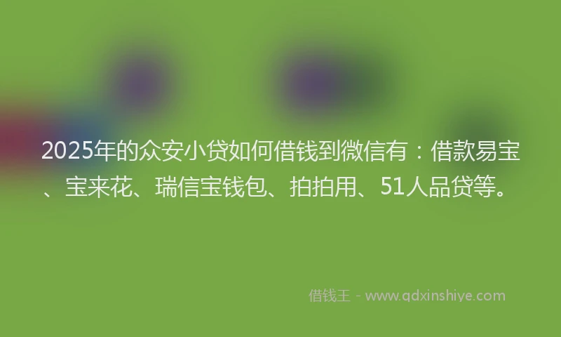 2025年的众安小贷如何借钱到微信有：借款易宝、宝来花、瑞信宝钱包、拍拍用、51人品贷等。