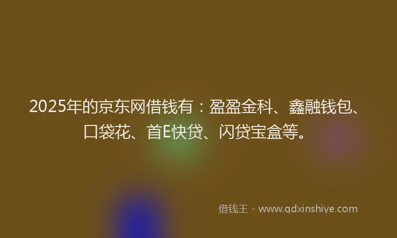 2025年的京东网借钱有：盈盈金科、鑫融钱包、口袋花、首E快贷、闪贷宝盒等。