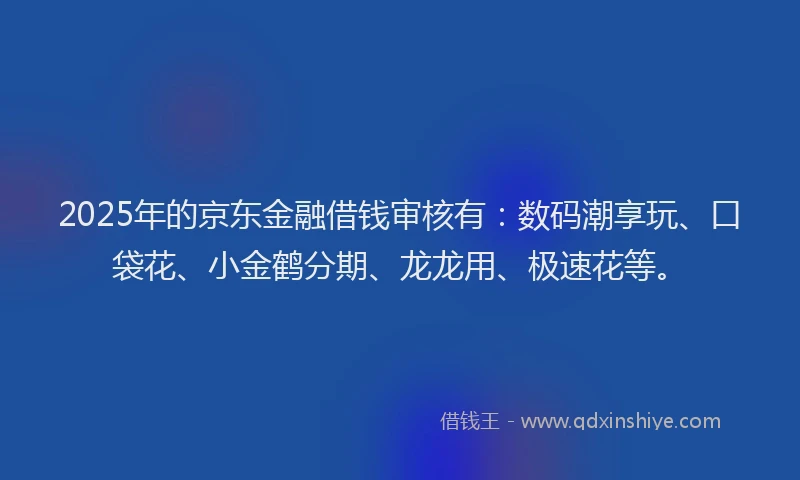 2025年的京东金融借钱审核有：数码潮享玩、口袋花、小金鹤分期、龙龙用、极速花等。