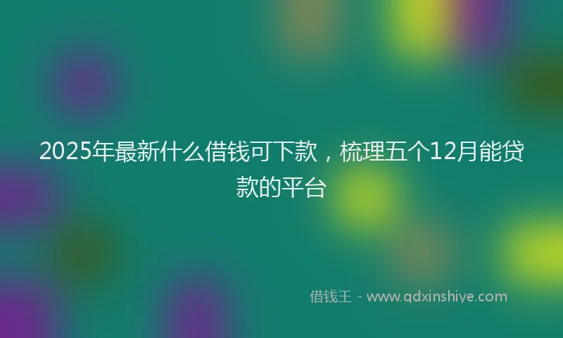 2025年最新什么借钱可下款，梳理五个12月能贷款的平台