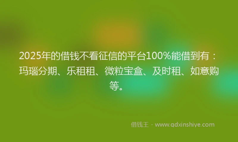 2025年的借钱不看征信的平台100%能借到有：玛瑙分期、乐租租、微粒宝盒、及时租、如意购等。