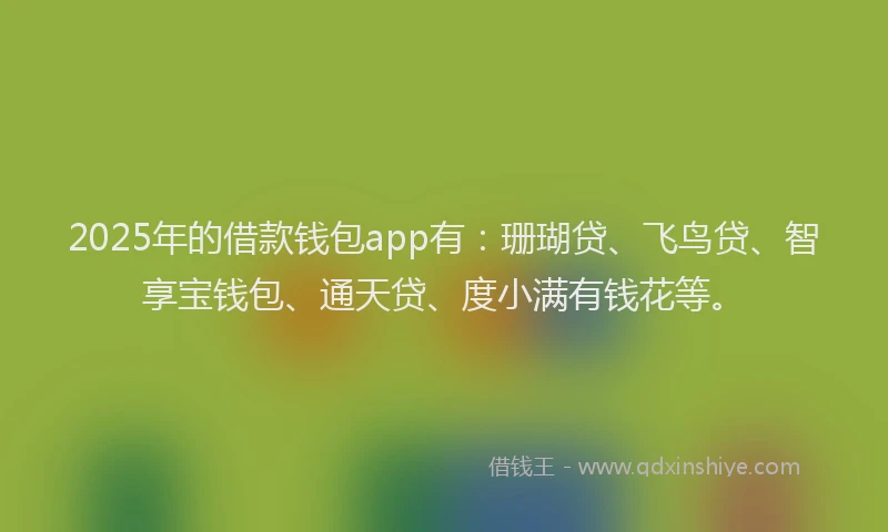 2025年的借款钱包app有：珊瑚贷、飞鸟贷、智享宝钱包、通天贷、度小满有钱花等。