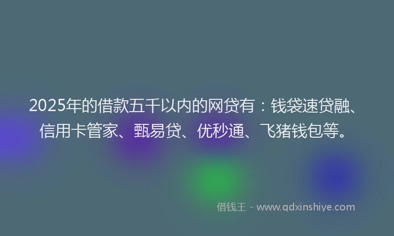 2025年的借款五千以内的网贷有：钱袋速贷融、信用卡管家、甄易贷、优秒通、飞猪钱包等。