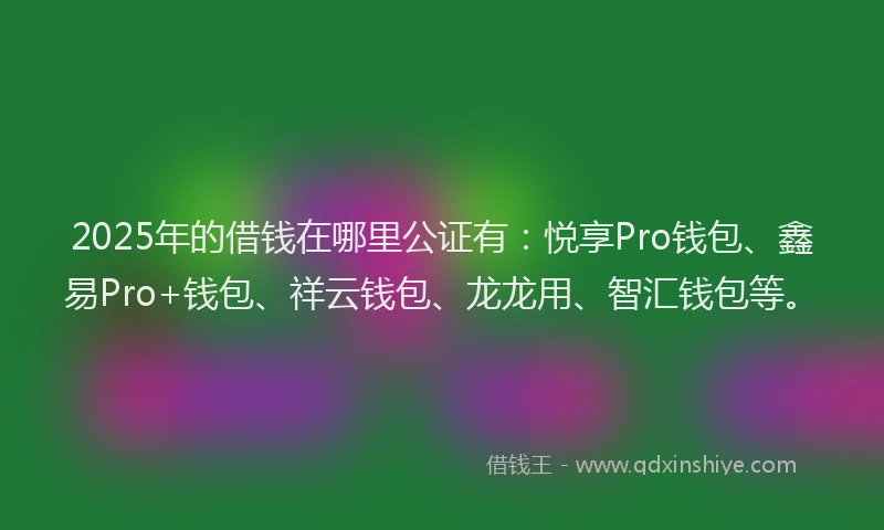 2025年的借钱在哪里公证有：悦享Pro钱包、鑫易Pro+钱包、祥云钱包、龙龙用、智汇钱包等。