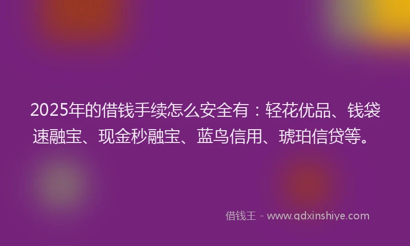 2025年的借钱手续怎么安全有：轻花优品、钱袋速融宝、现金秒融宝、蓝鸟信用、琥珀信贷等。