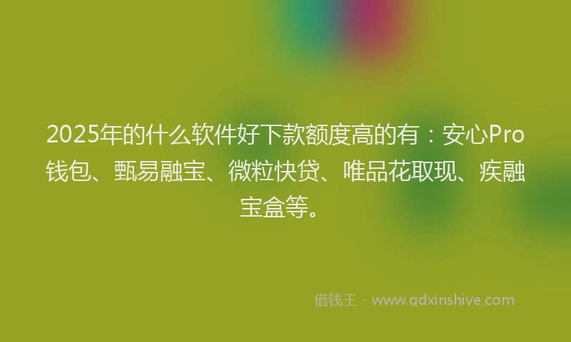 2025年的什么软件好下款额度高的有：安心Pro钱包、甄易融宝、微粒快贷、唯品花取现、疾融宝盒等。