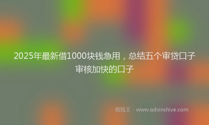 2025年最新借1000块钱急用，总结五个审贷口子审核加快的口子
