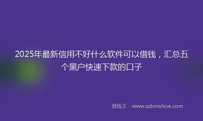 2025年最新信用不好什么软件可以借钱，汇总五个黑户快速下款的口子