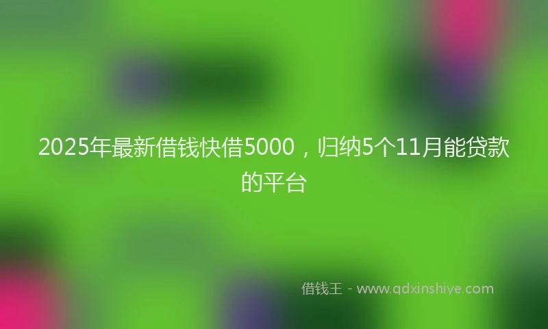 2025年最新借钱快借5000，归纳5个11月能贷款的平台
