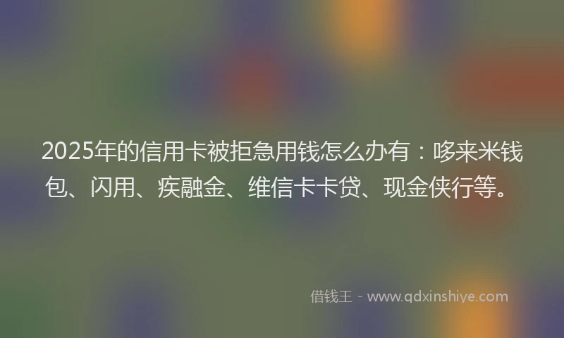 2025年的信用卡被拒急用钱怎么办有：哆来米钱包、闪用、疾融金、维信卡卡贷、现金侠行等。