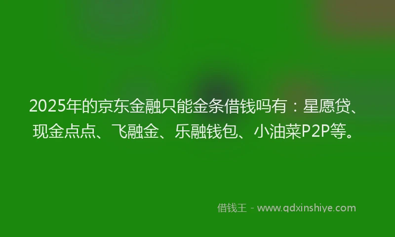 2025年的京东金融只能金条借钱吗有：星愿贷、现金点点、飞融金、乐融钱包、小油菜P2P等。