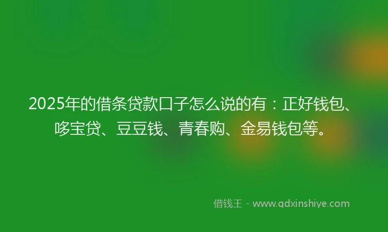 2025年的借条贷款口子怎么说的有：正好钱包、哆宝贷、豆豆钱、青春购、金易钱包等。