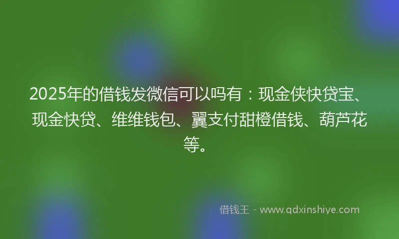 2025年的借钱发微信可以吗有：现金侠快贷宝、现金快贷、维维钱包、翼支付甜橙借钱、葫芦花等。