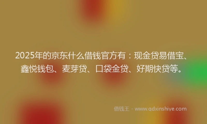 2025年的京东什么借钱官方有：现金贷易借宝、鑫悦钱包、麦芽贷、口袋金贷、好期快贷等。